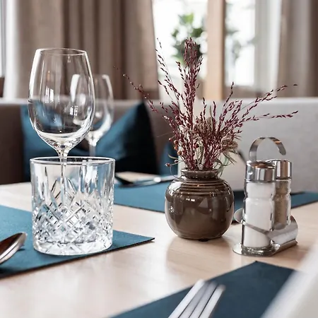 Hotel Wismeyer - Skihotel An Der Plattenkarbahn 3*